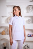 Женская медицинская блуза 2-434 - Женская медицинская блуза 2-434